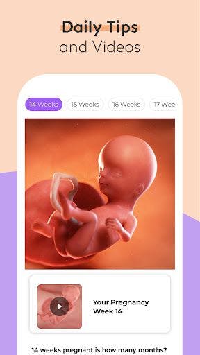 Pregnancy Tracker and Baby App APK and Review