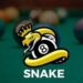 snake-8-ball-pool-oyunclubnet