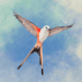 wingspan-the-board-game.png